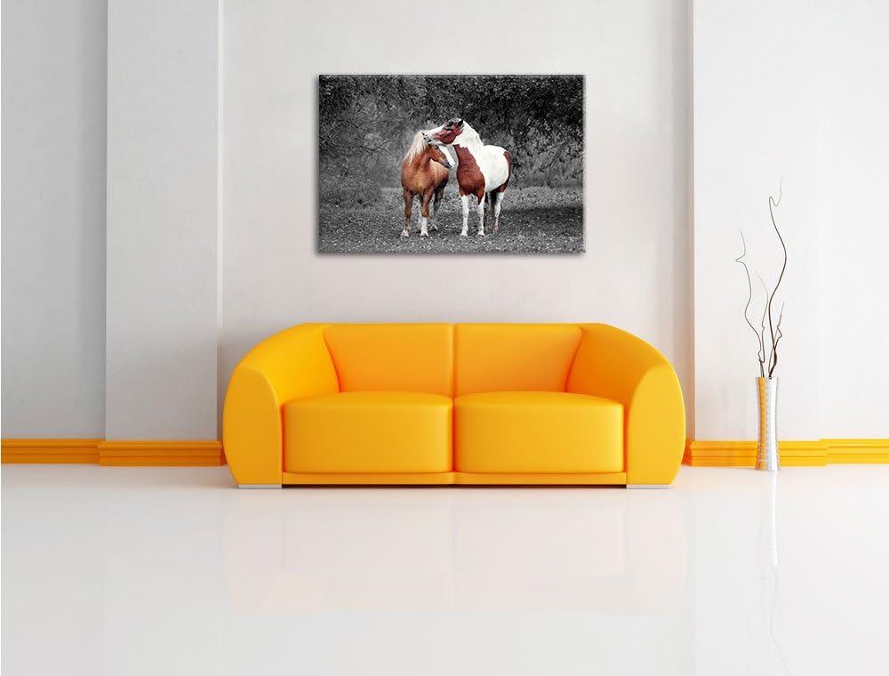 Pixxprint Zwei schmusende Pferde als Leinwandbild/Grösse: 100x70 cm/Wandbild/Kunstdruck/fertig bespa