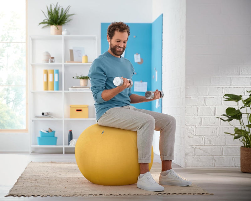 Leitz Sitzball für aktives Sitzen, Gymnastikball, Ergonomische Alternative zum Schreibtischstuhl, 65