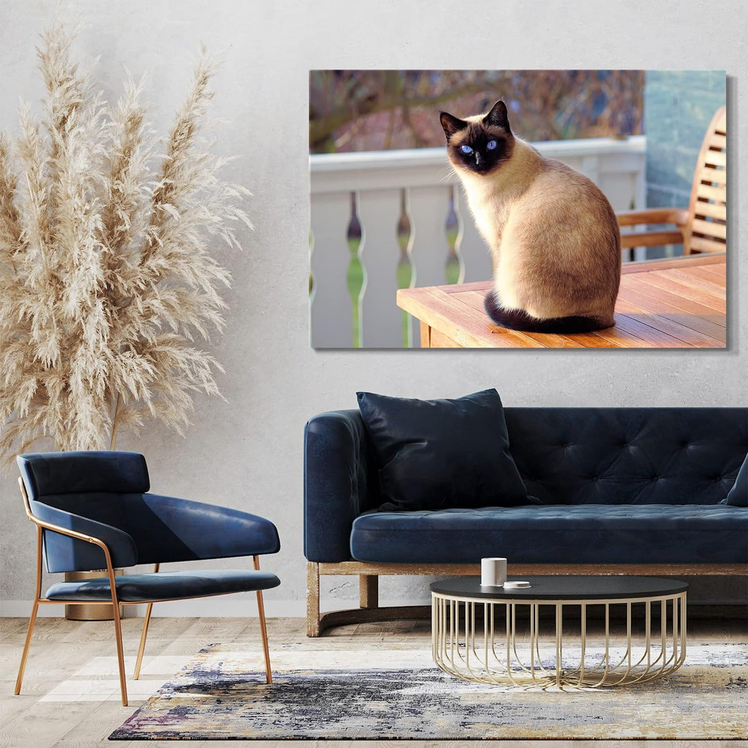 Printed Paintings Leinwand (60x40cm): Siamkatze auf Tisch Katzenbilder Katzen 60x40 cm, 60x40 cm