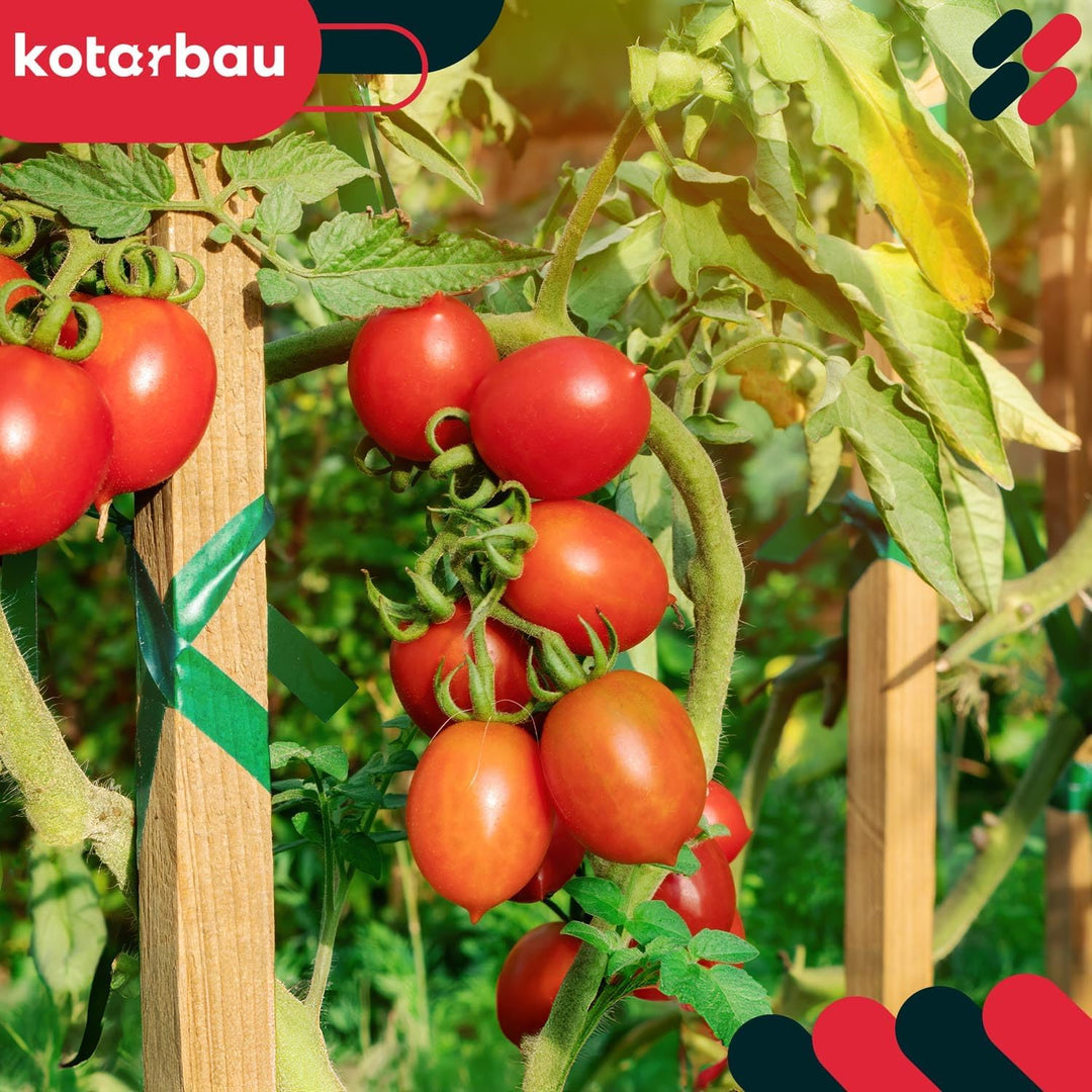 KOTARBAU® 15er Set Tomatenstäbe Pflanzstäbe 100 cm Zaunpfahl Holzpfosten Holzpflock angespitzt Pflan