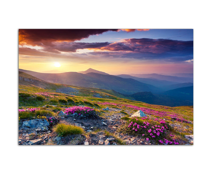 Paul Sinus Art 120x80cm - WANDBILD Berge Alpenrosen Berge Himmel Sommer - Leinwandbild auf Keilrahme