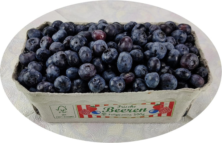 Beerenschalen für Früchte Frucht-Schälchen Obstschalen Verpackungsschalen kompostierbar Schale für z