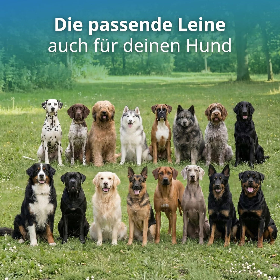 Activity4Dogs Geflochtene Hundeleine für grosse Hunde bis 60 kg | 4-Fach verstellbare Führleine | 2,