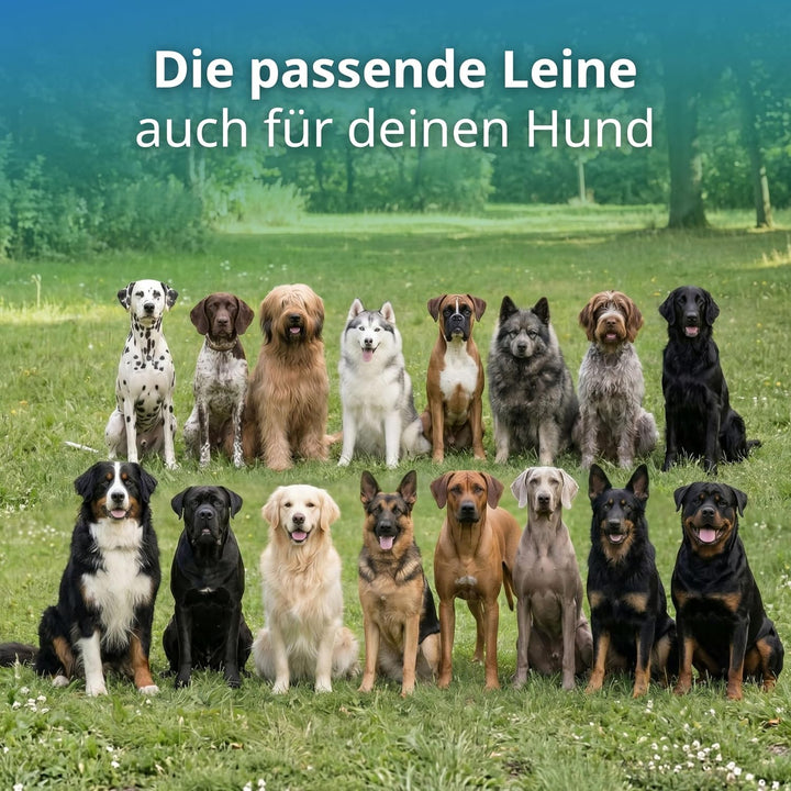 Activity4Dogs Geflochtene Hundeleine für grosse Hunde bis 60 kg | 4-Fach verstellbare Führleine | 2,