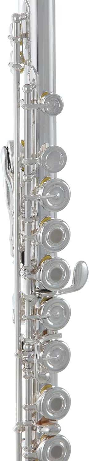 Roy Benson Querflöte MOD.FL-602RI, inkl. Holzetui mit Tasche, FL-602RI