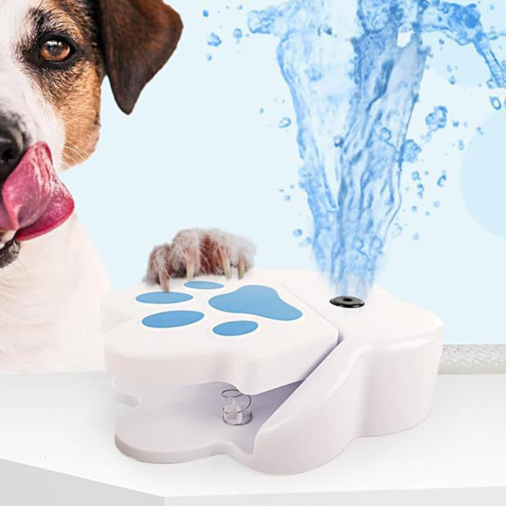 Haustierhundwasserbrunnen Spielzeug Trinken Sie zum Trinken, Hundewasser -Sprinklerpfote im Freien,