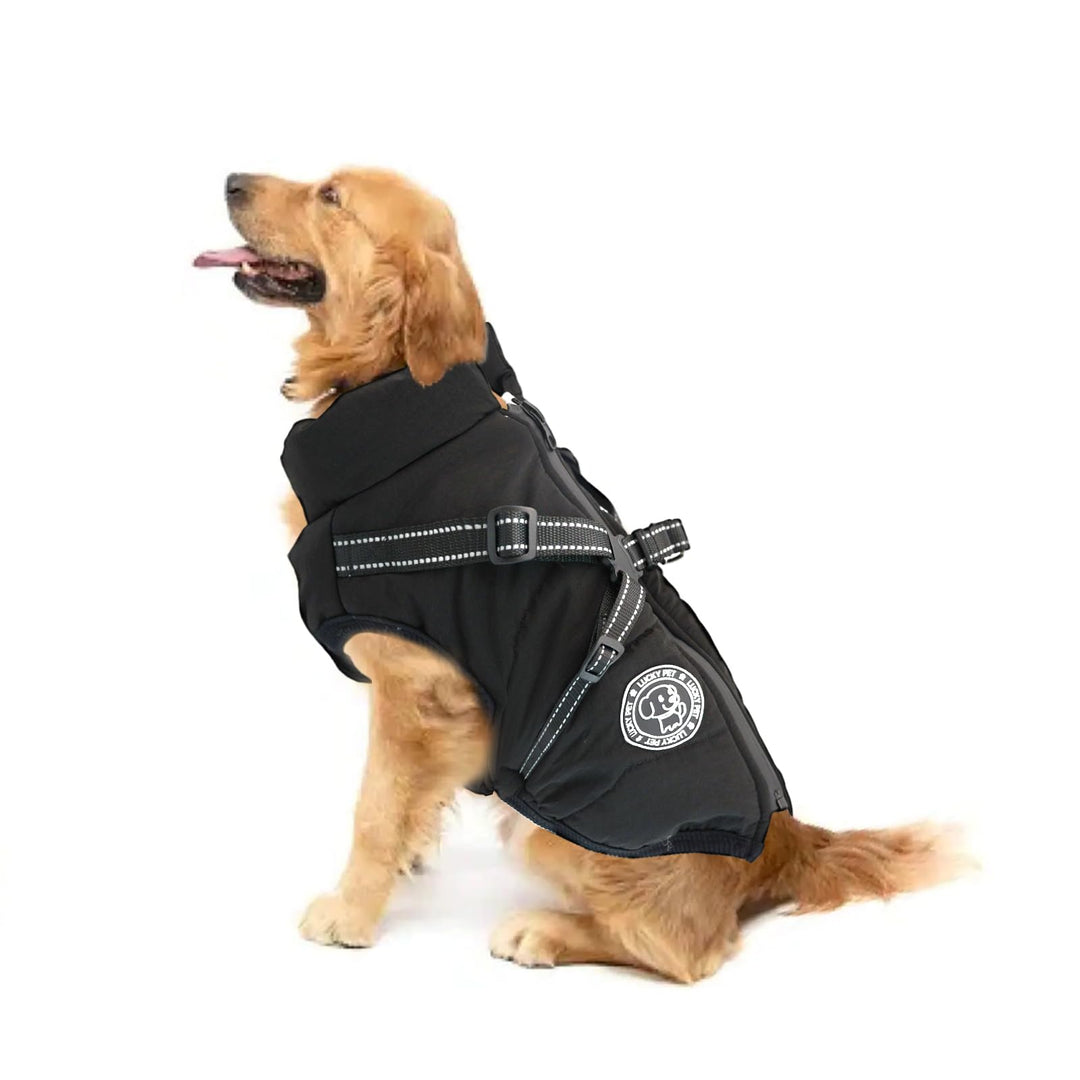 Hundemantel für Kleine Hunde Wasserdicht,Hundemantel mit Geschirr, Winterjacken &amp; Wintermäntel für H