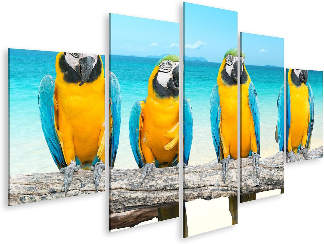 islandburner Bild auf Leinwand Ara Papagei Auf Ast Am Tropischen Schönen Strand Und Meer Bilder Wand
