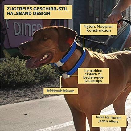 Cesar Millan Pack Leader Collar™ - Trainingshalsband des Hundeflüsterers Cesar Millan (Gross, Grau)