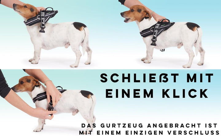 Hundegeschirr mit 3 Metallringankern zur Befestigung an der Brust oder Brust des Hundes, ohne den Ha