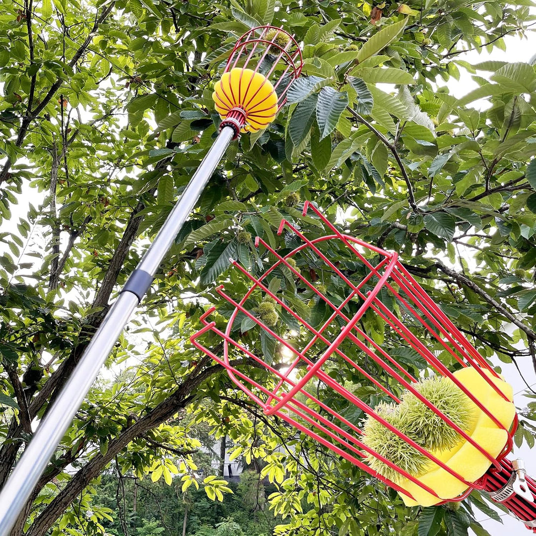 4BAOHUI 4,3M Apfelpflücker mit Teleskopstiel, Obstpflücker, Kirschenpflücker mit Leichter Edelstahl