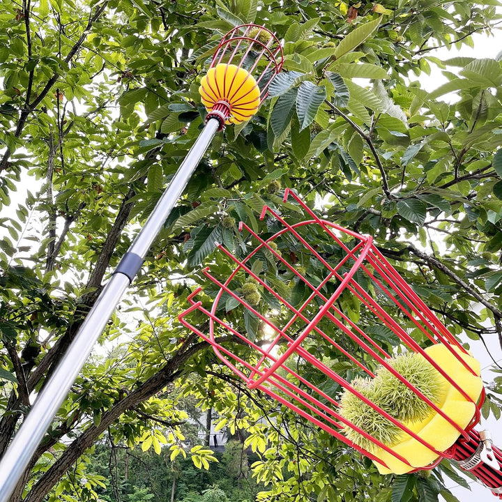 4BAOHUI 4,3M Apfelpflücker mit Teleskopstiel, Obstpflücker, Kirschenpflücker mit Leichter Edelstahl