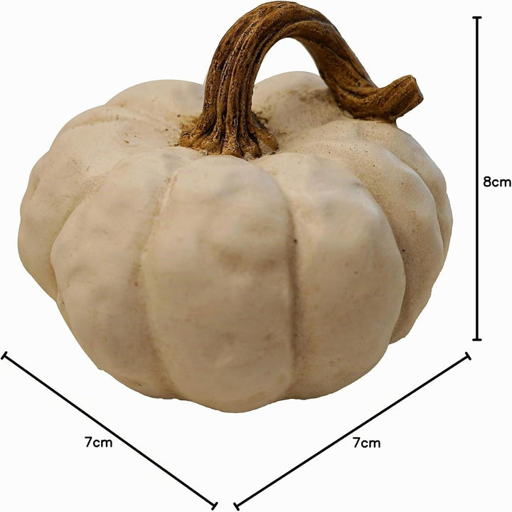 khevga Herbst-Dekoration Deko-Kürbisse im Set (weiss), Weiss