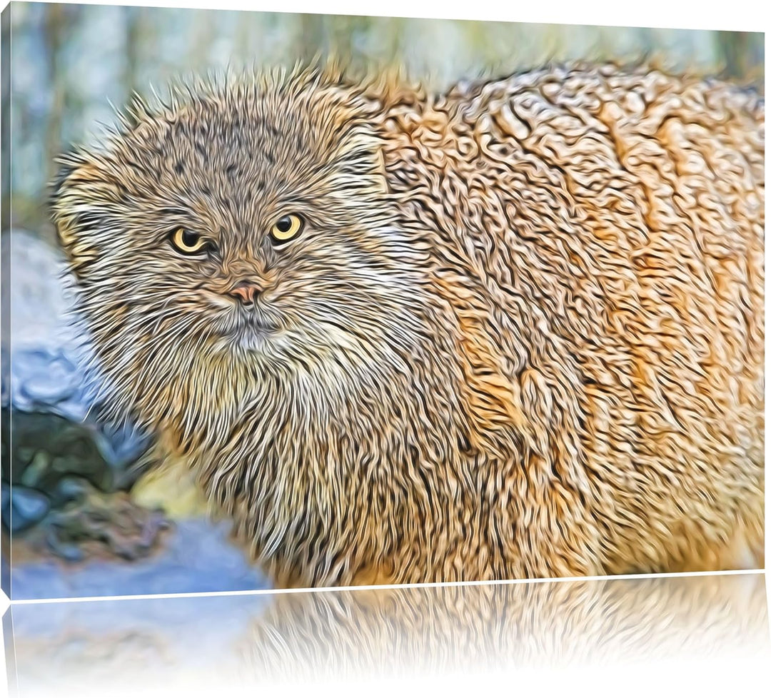 wütende Manul Deluxe Format: 100x70 cm auf Leinwand, XXL riesige Bilder fertig gerahmt mit Keilrahme