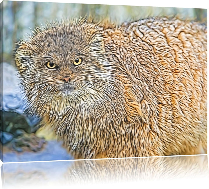 wütende Manul Deluxe Format: 100x70 cm auf Leinwand, XXL riesige Bilder fertig gerahmt mit Keilrahme
