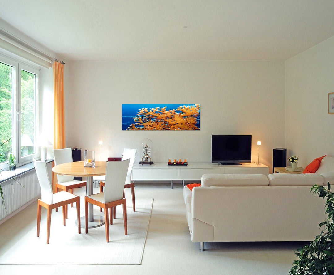 Paul Sinus Art Panoramabild auf Leinwand und Keilrahmen 150x50cm Meer Unterwasser Feuerkoralle