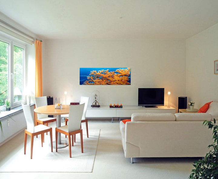 Paul Sinus Art Panoramabild auf Leinwand und Keilrahmen 150x50cm Meer Unterwasser Feuerkoralle