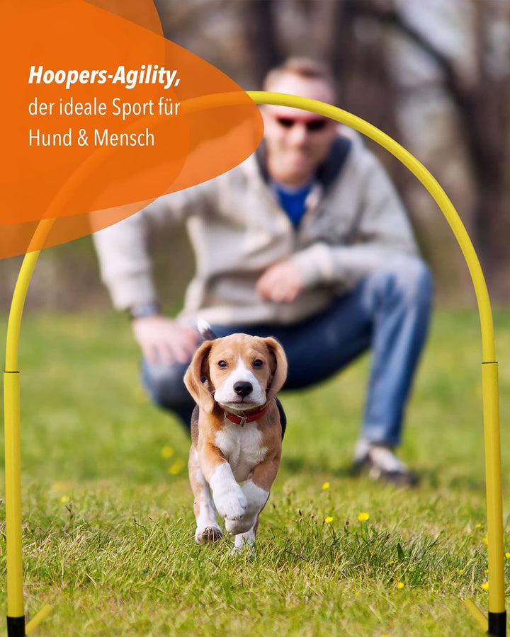Hoopers Hoop – wetterfest, VDH-konform & farbig – mit Stecksystem für sicheres Hundetraining – aus r