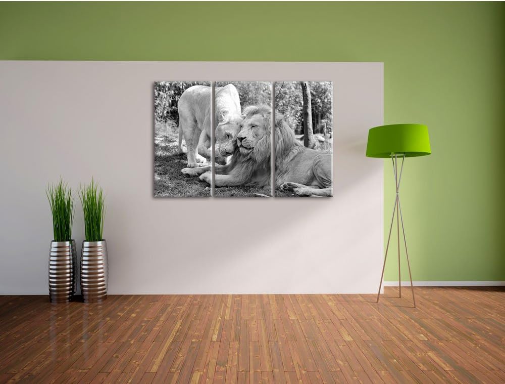 Pixxprint verliebtes Löwenpaar Kunst B&amp;W als Leinwandbild | Grösse: 3 Teilig (120x80) | Wandbild| Ku