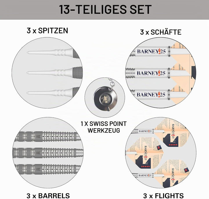 Target Darts Raymond Van Barneveld RVB 25 Year Edition 95% Wolfram Soft Tip Darts Set 20G, 20G