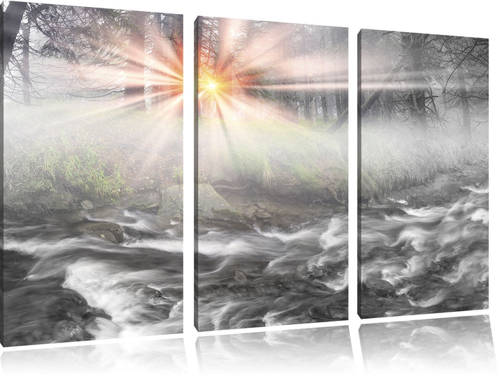Pixxprint Nebeldickicht im Wald als Leinwandbild/Grösse: 3 Teilig (120x80) cm/Wandbild/Kunstdruck/fe