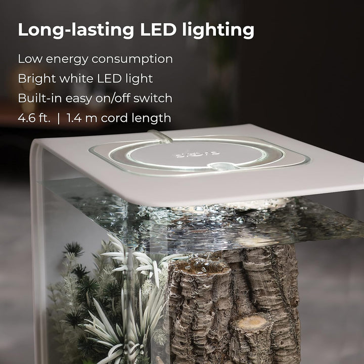 biOrb 72034 FLOW 30 LED in weiss – elegantes Design-Aquarium Komplett-Set mit Filter-System, LED-Bel