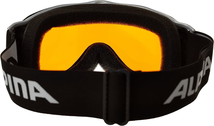 Alpina Skibrille FreeSpirit, One size schwarz transparent dlh (black transparent dlh), schwarz trans