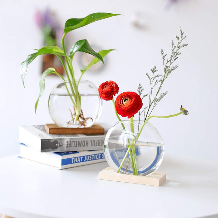 Tischplatte hängen Glas Pflanzer Pcs von 2 Vermehrungsstation Moderne Blumenknospe Vase in Holz Steh