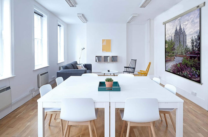 celexon Economy Motor-Leinwand 65" | 120x120 cm 1:1 | elektrische 4K,Full-HD Beamer-Leinwand für Bür