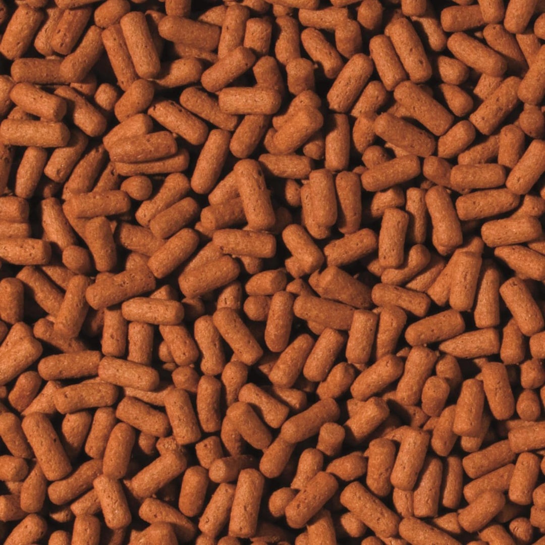 Tropical Cichlid&Arowana Large Sticks, 1er Pack (1 x 10000 ml)
