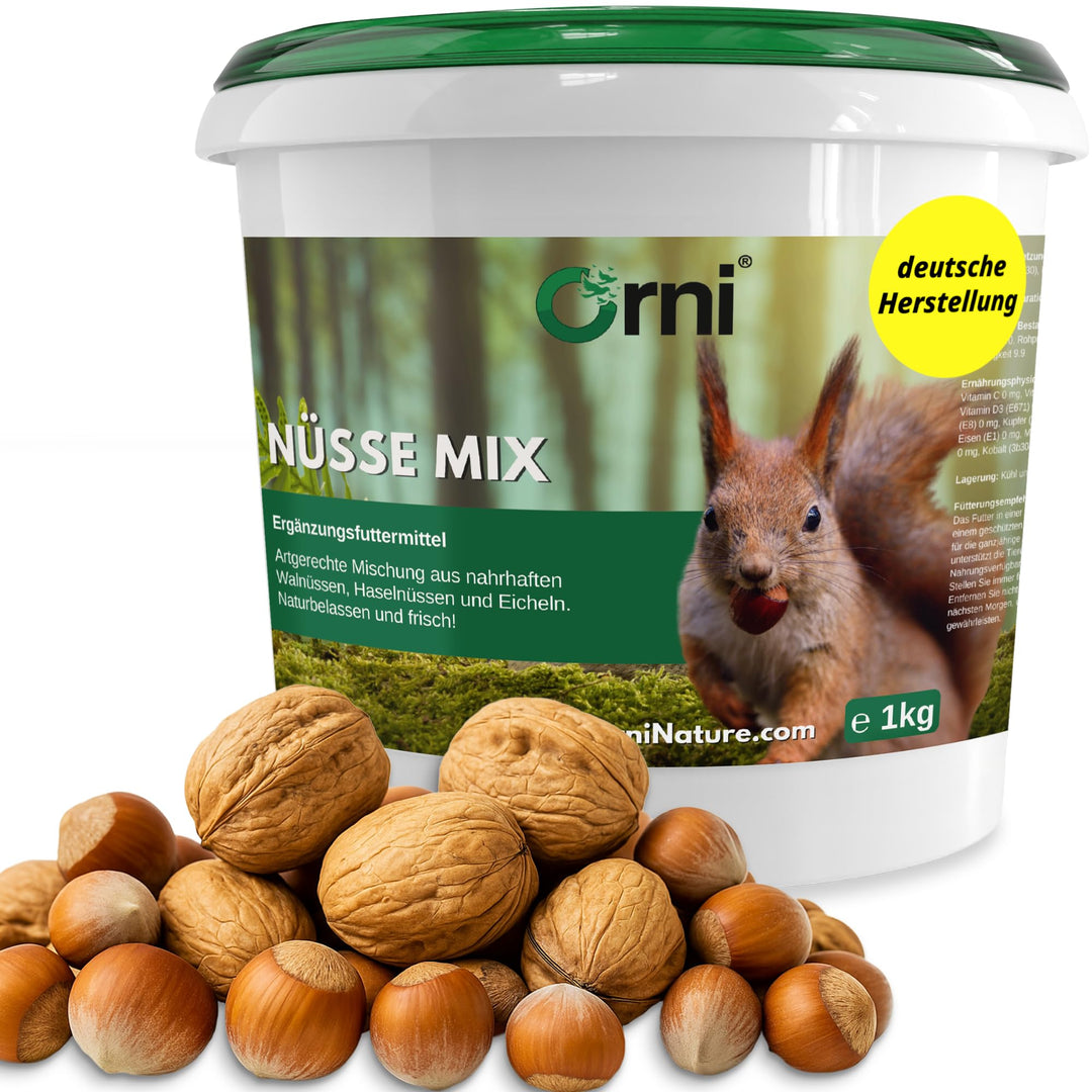 Orni Artgerechter Nüsse Mix für Eichhörnchenfutter 1kg | Futter für Eichhörnchen mit Haselnüsse, Wal