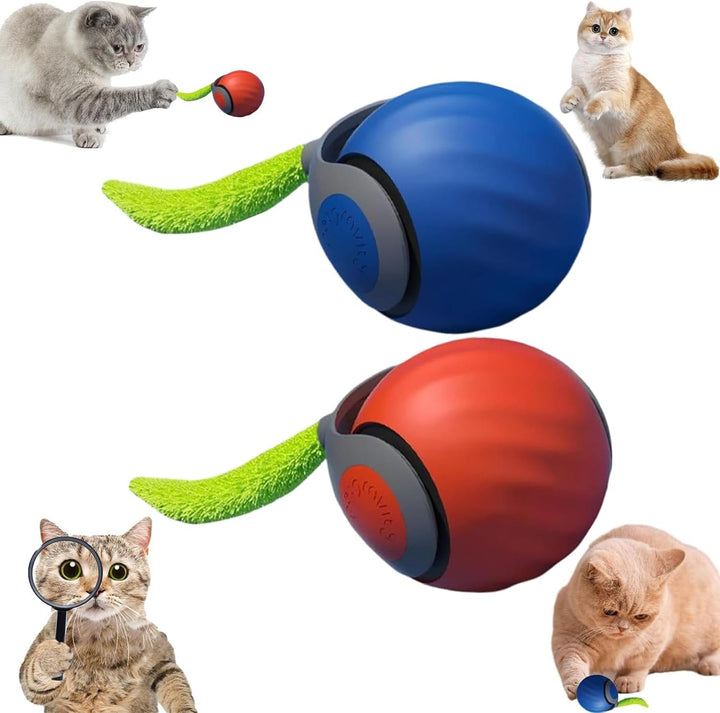 Speedy Tail 2.0, Speedy Tail Katzenspielzeug, interaktiver spielball für Katzen, Automatisches Katze