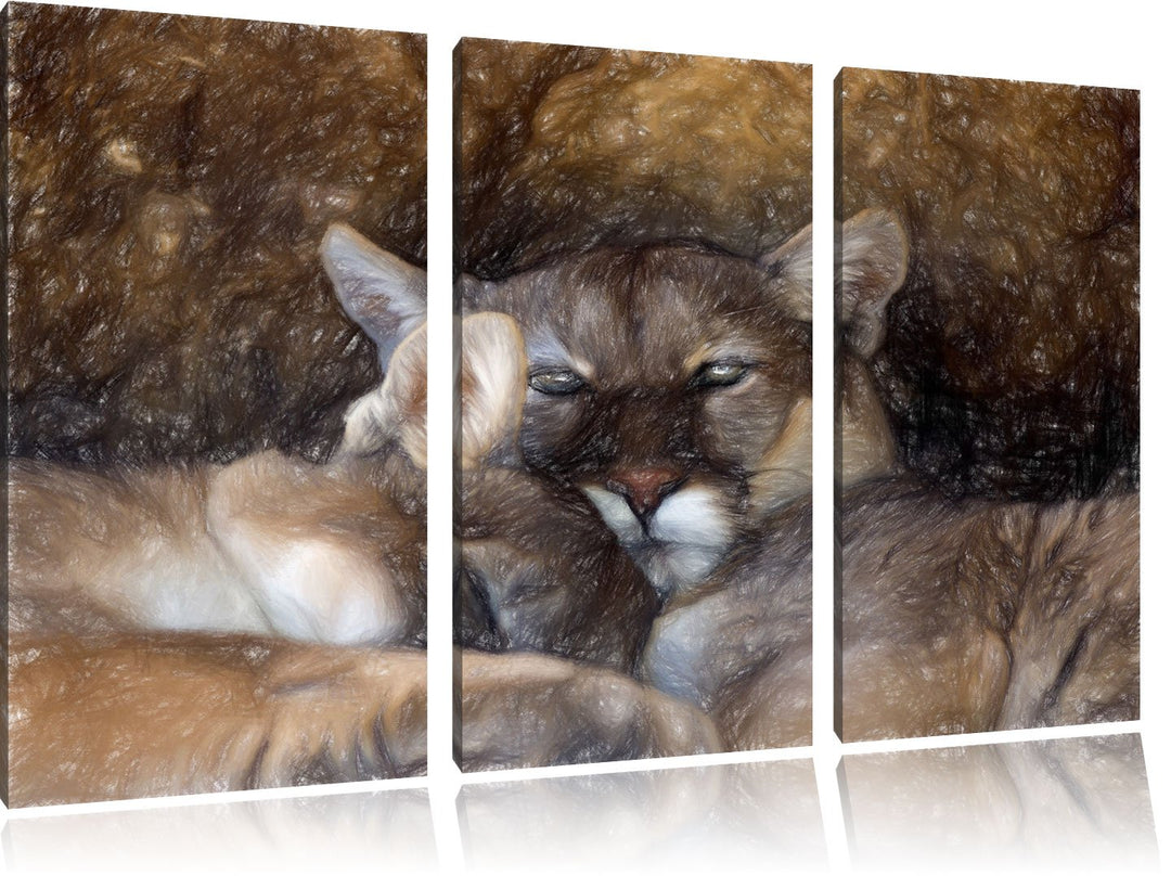 Pixxprint Puma Paar als Leinwandbild/Grösse: 3Teilig / Wandbild/Kunstdruck/fertig bespannt