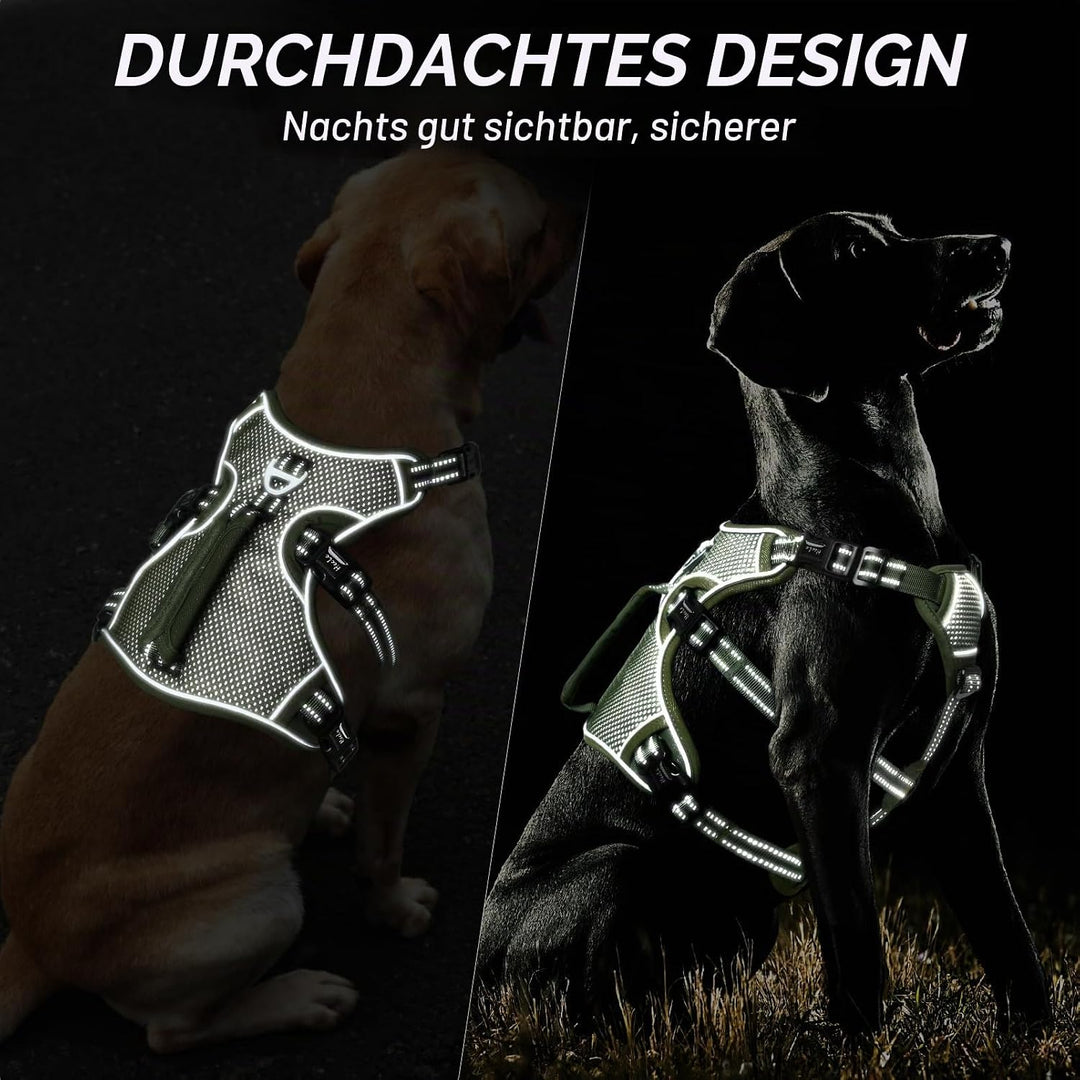 HEELE Hundegeschirr, Ausbruchsicher, Schnalle im Halsbereich, Reflektierend, Brustgeschirr mit Robus