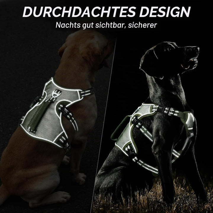 HEELE Hundegeschirr, Ausbruchsicher, Schnalle im Halsbereich, Reflektierend, Brustgeschirr mit Robus