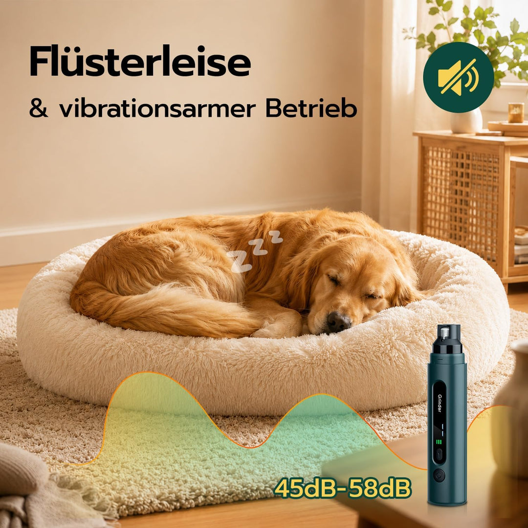 Krallenschleifer für Hunde – LED Beleuchtung, 5 Stufen, 45 dB leiser Motor – für kleine, mittelgross