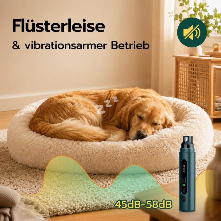 Krallenschleifer für Hunde – LED Beleuchtung, 5 Stufen, 45 dB leiser Motor – für kleine, mittelgross