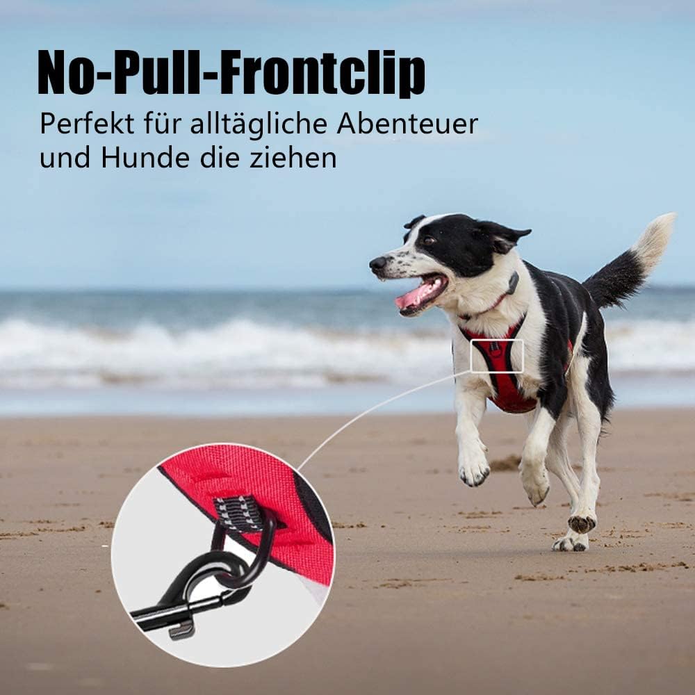 PoyPet No Pull Hundegeschirr, reflektierendes Westengeschirr mit 2 Leinenbefestigungen und einfachem