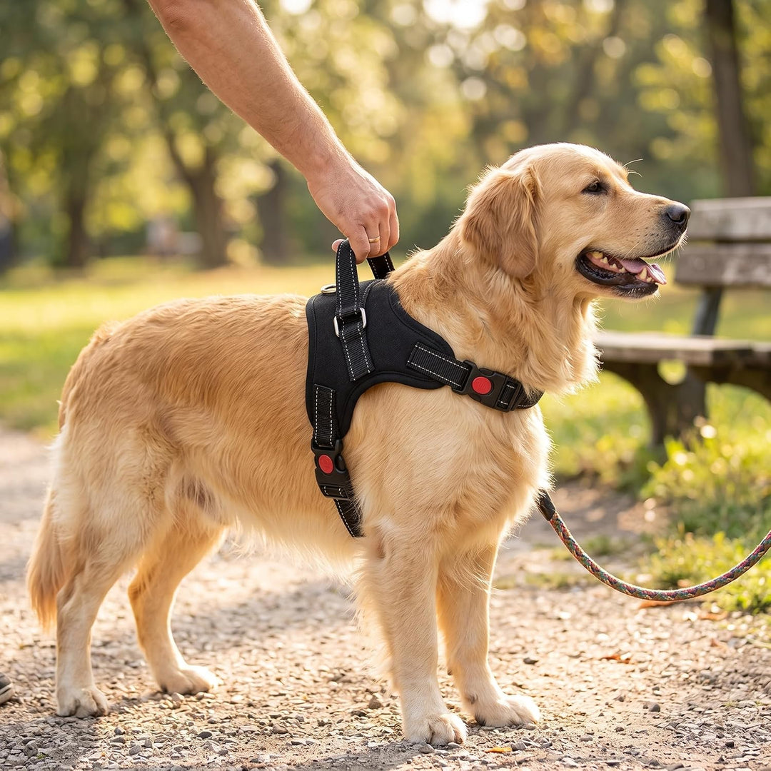 Hundegeschirr XL Anti-Zug mit gepolstertem Griff &amp; Reflektoren für grosse Hunde - Brustgeschirr stuf