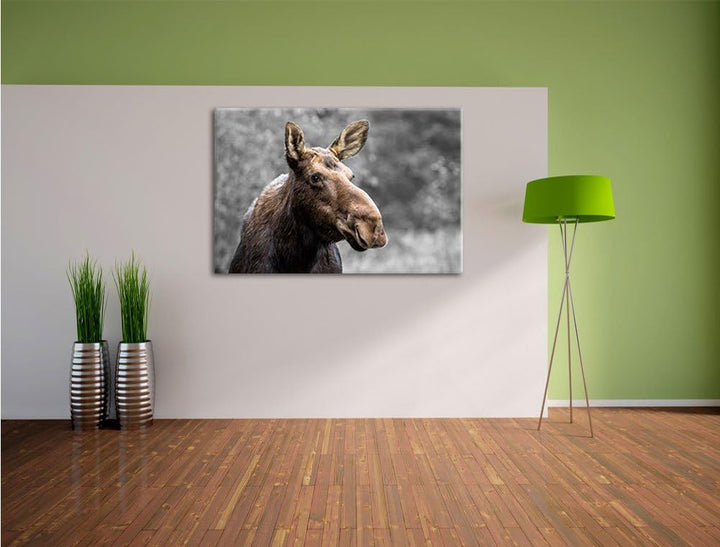 Elch im Wald B&W Detail, Format: 100x70 auf Leinwand, XXL riesige Bilder fertig gerahmt mit Keilrahm