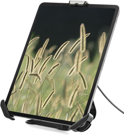 StarTech.com Sichere Tablet-Halterung mit K-Slot-Kabelschloss - iPad Ständer für 7,9-13 Zoll Tablets