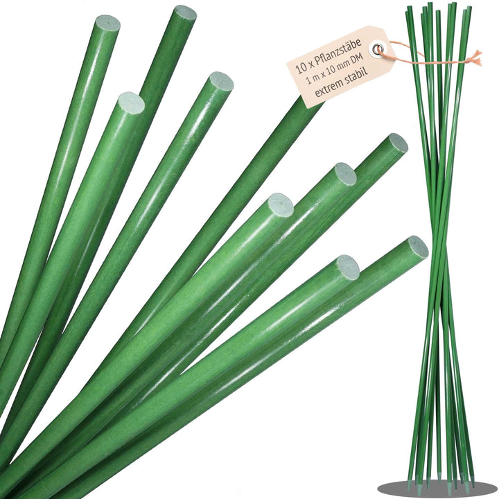 10 x sehr stabile Pflanzenstütze 1 m x 10 mm, Staudenhalter, Pflanzenhalter, Blumenhalter, Pflanzen