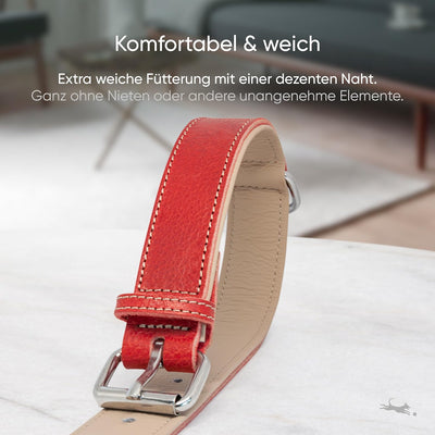 FREUDENTIER® Hundehalsband Leder, gefüttert & komfortabel, hochwertiges breites Lederhalsband aus Vo