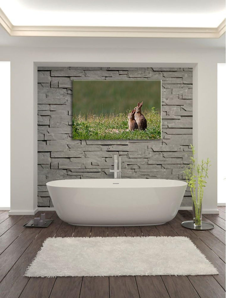 zwei Häschen auf Frühlingswiese Leinwand, XXL riesige Bilder fertig gerahmt mit Keilrahmen, Kunstdru