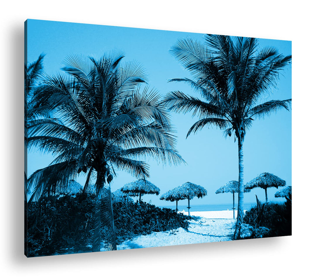 deyoli exotischer Palmenstrand Format: 60x40 Effekt: Monocrome Blau als Leinwand, Motiv fertig gerah