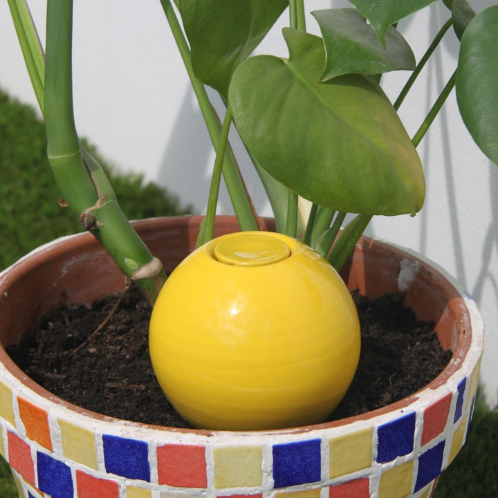 Ollas Lutton Mini Olla Terrakotta zum Pflanzen, 25 cl, automatische und umweltfreundliche Bewässerun