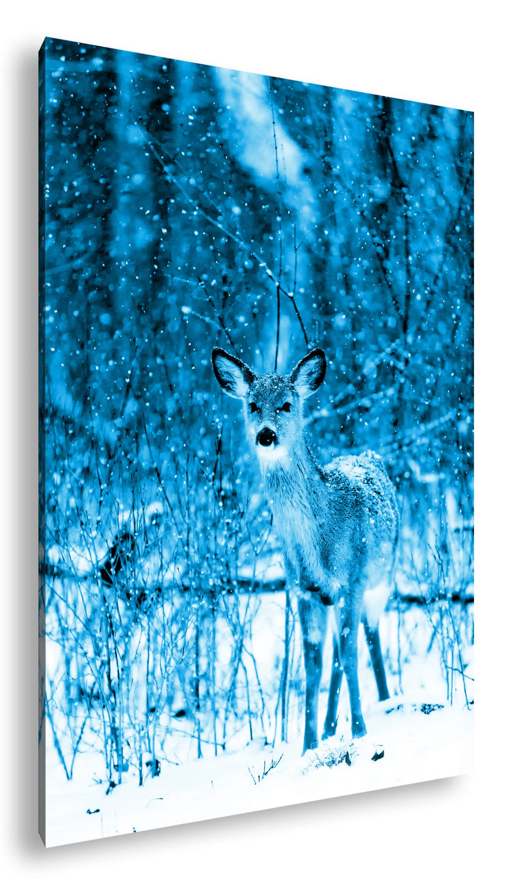 deyoli niedliches Reh im Schnee Format: 80x60 Effekt: Monocrome Blau als Leinwand, Motiv fertig gera