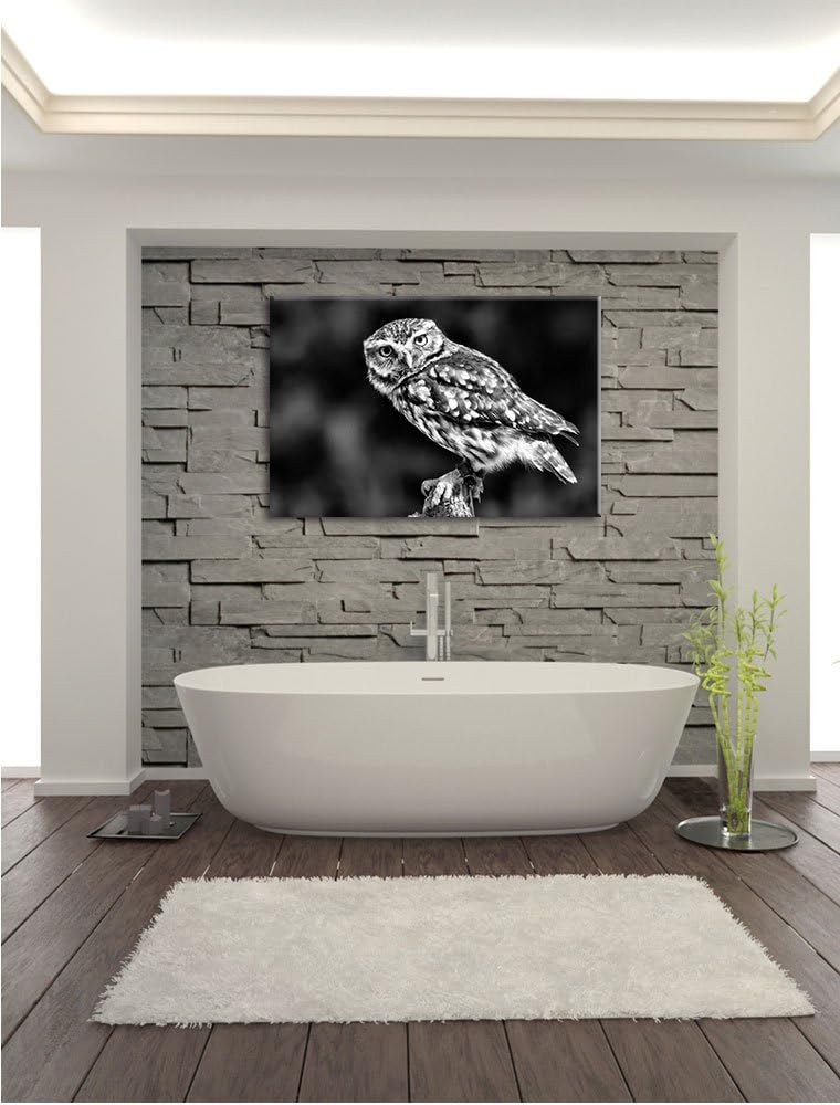 Monocrome, kleine Eule, Format: 100x70 auf Leinwand, XXL riesige Bilder fertig gerahmt mit Keilrahme