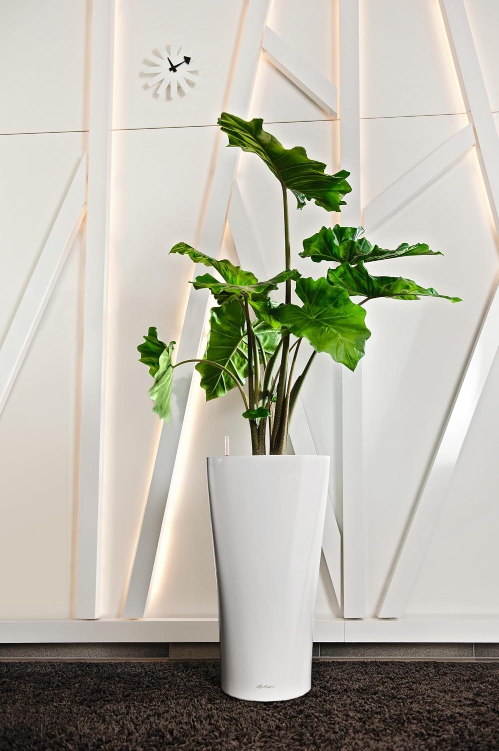 LECHUZA DELTA Premium 30 weiss hochglanz 15500 Weiss Hochglanz 29x29x56.5 cm Single, Weiss Hochglanz