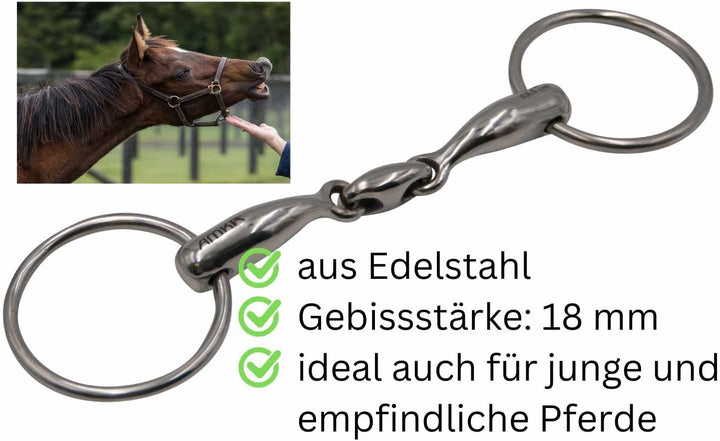 AMKA Wassertrense doppelt gebrochen massiv Edelstahl Stärke 18 mm, Ringe 65 mm 15,5, 15,5